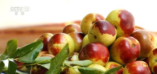 脆甜冬棗喜迎豐收 便捷物流助力農(nóng)戶"棗棗"致富