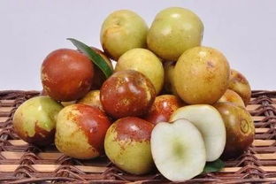 金秋你不上黃驊來走一趟,那就太遺憾了 因?yàn)榈迷俚纫荒? class=