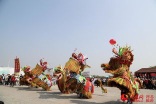 迎佳節(jié)慶豐收 滄州黃驊冬棗節(jié)熱鬧登場(chǎng)